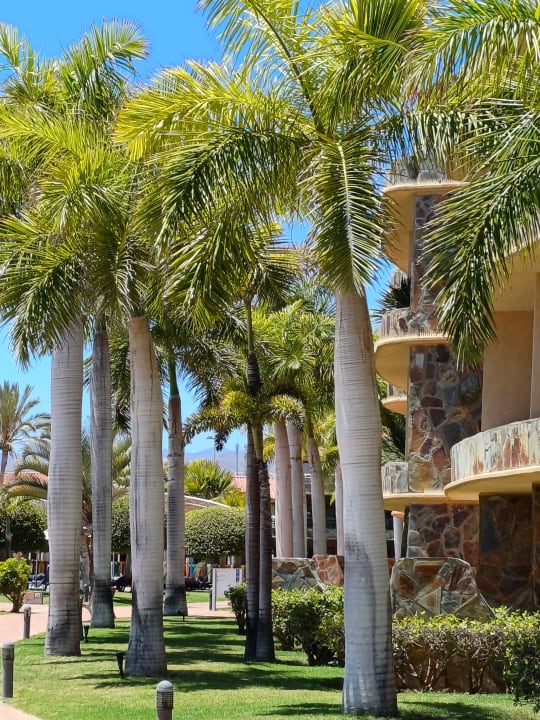 Gartenanlage H10 Playa Meloneras Horizons Collection