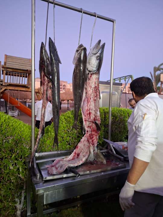 Gartenanlage Sunny Days Palma De Mirette Resort & Spa