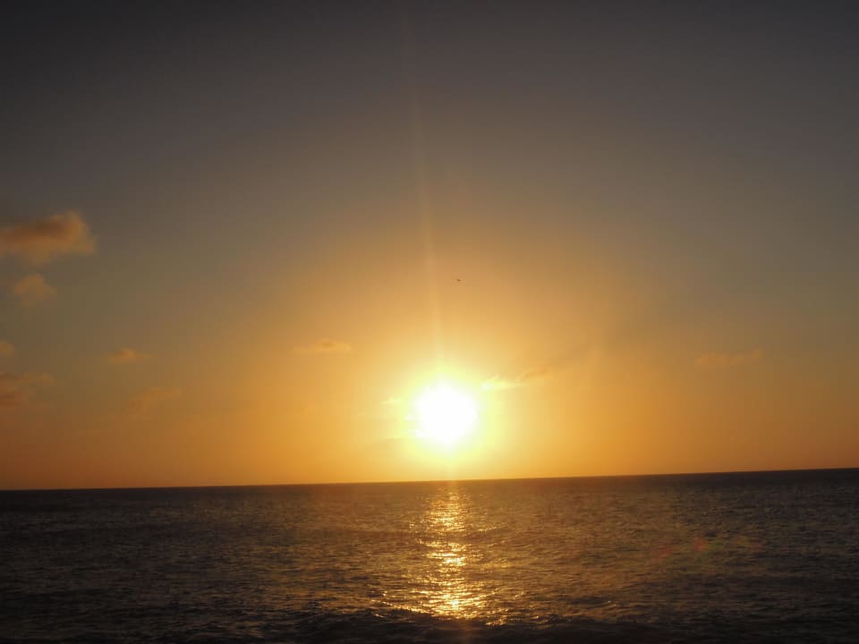 Wunderschöner Sonnenuntergang am Strand Bucuti & Tara Beach Resort - Adults only