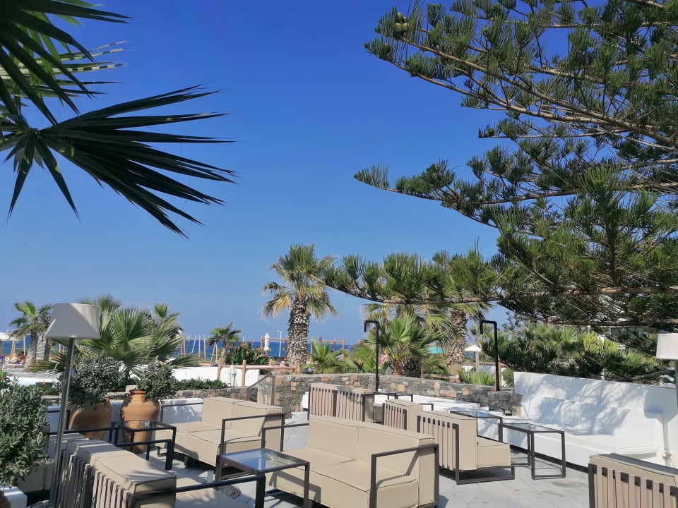 Gartenanlage The Island Hotel