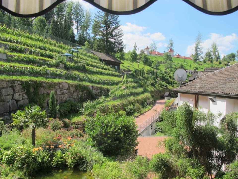 Vom Zimmer Schwarzwald Resort Dollenberg