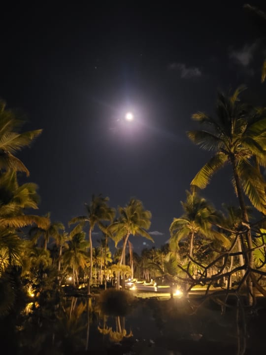 Ausblick Meliá Caribe Beach Resort-All Inclusive