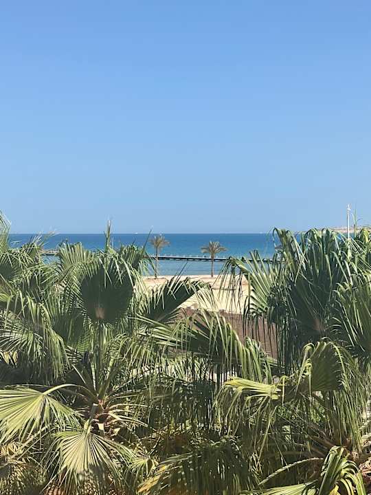 Sonstiges Pickalbatros Palace Resort