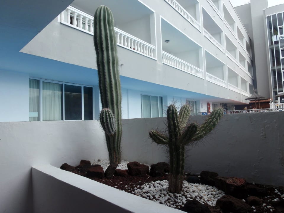 W hotelu BLUESEA Lagos de Cesar