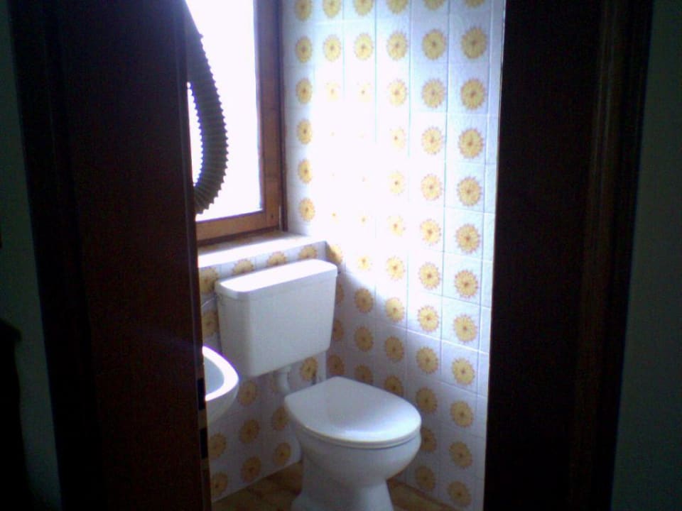 aufnahme von der toilette im zimmer Hotel Fichtenhof