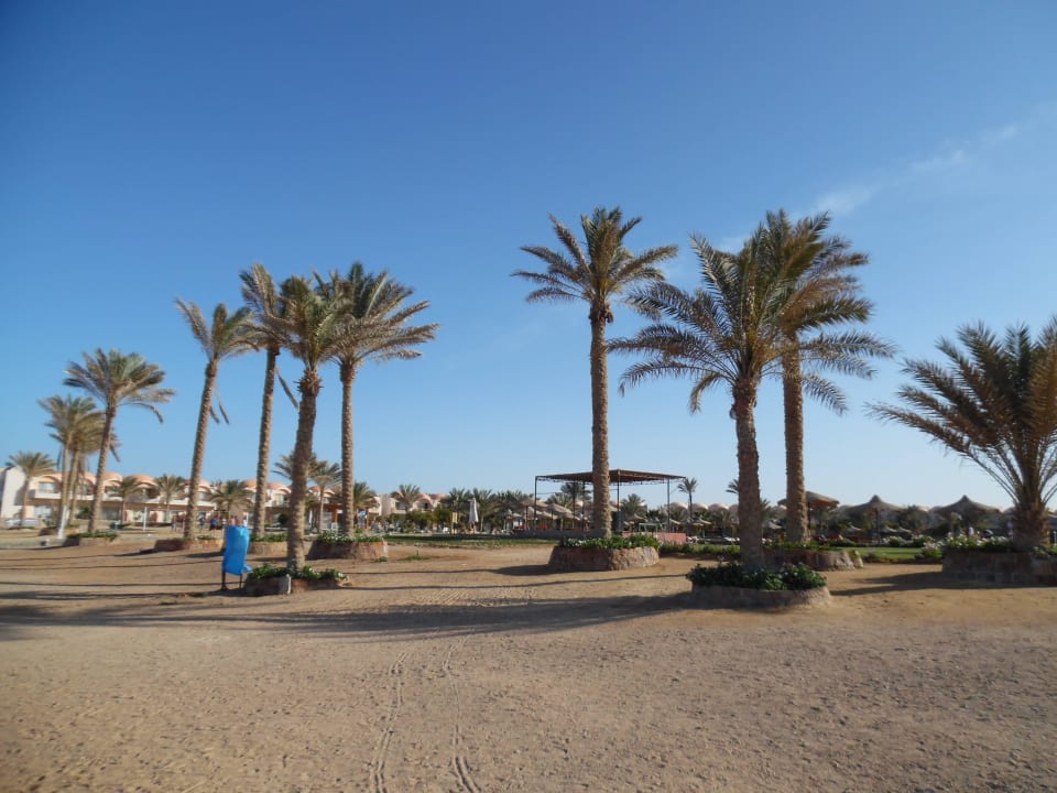 Blick von der Liege Three Corners Sea Beach Resort