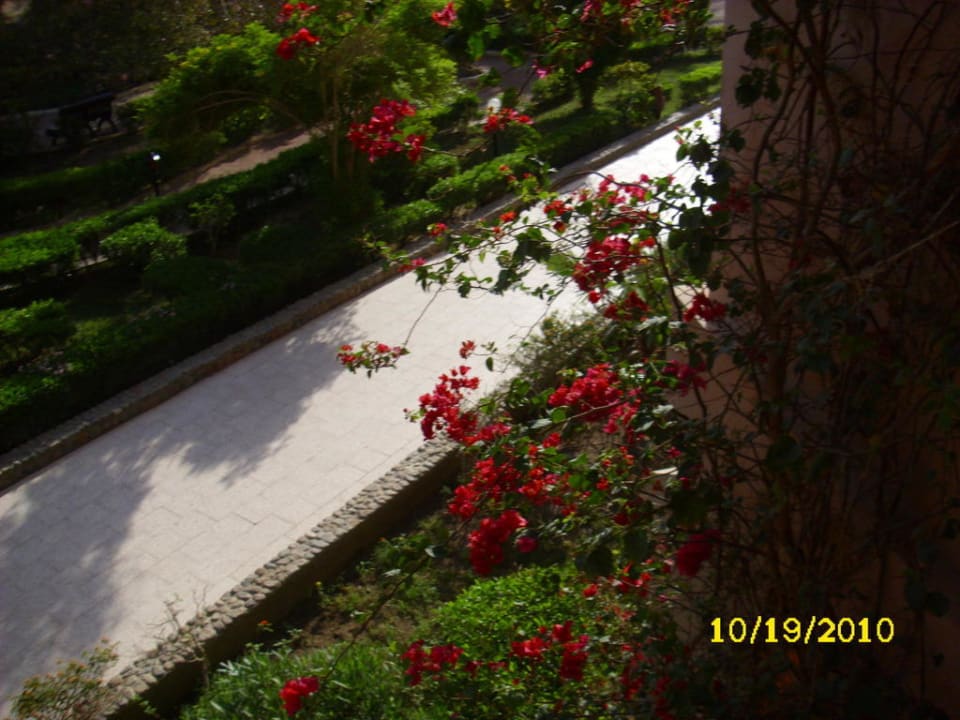 Der Weg zum T-Block Giftun Azur Resort