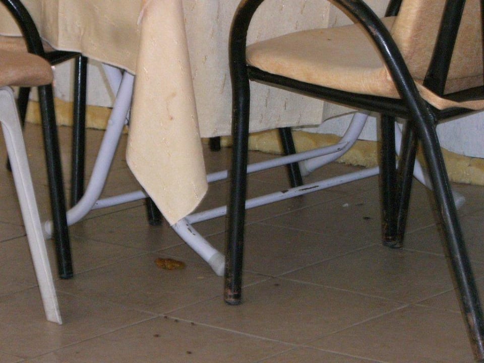 Restaurant Side Miami Beach