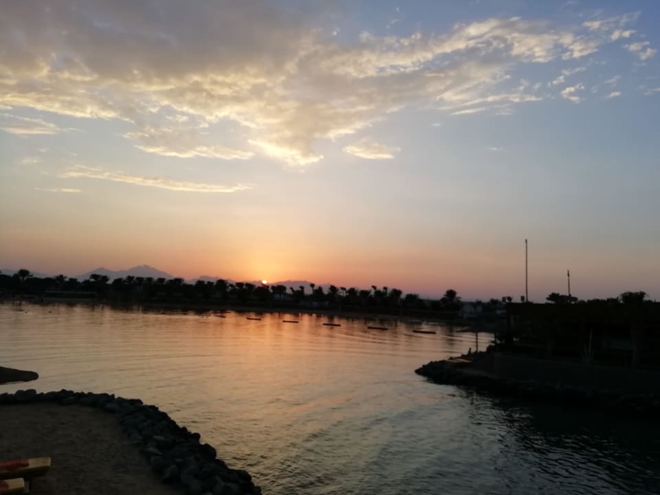 Ausblick Desert Rose