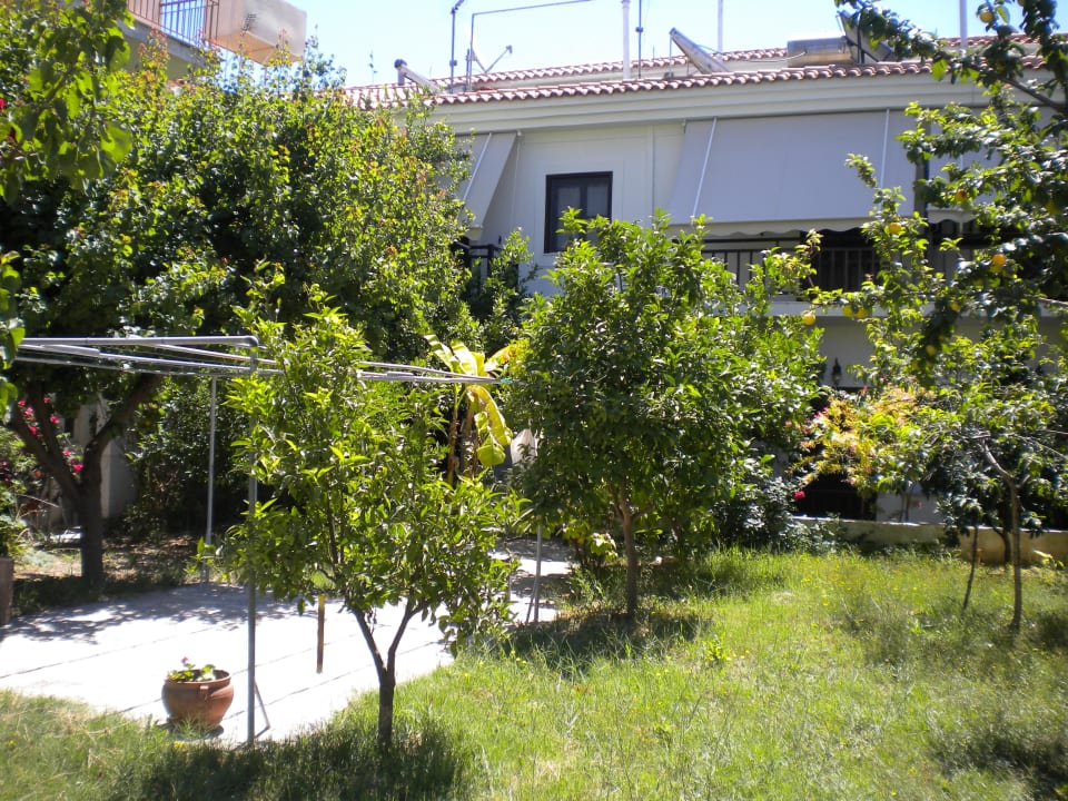 Back Yard Hotel Angeliki