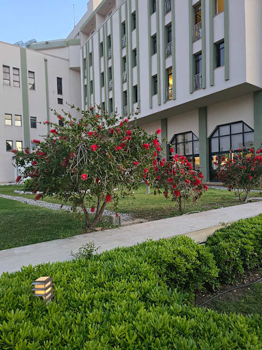 Außenansicht Adora Hotel & Resort