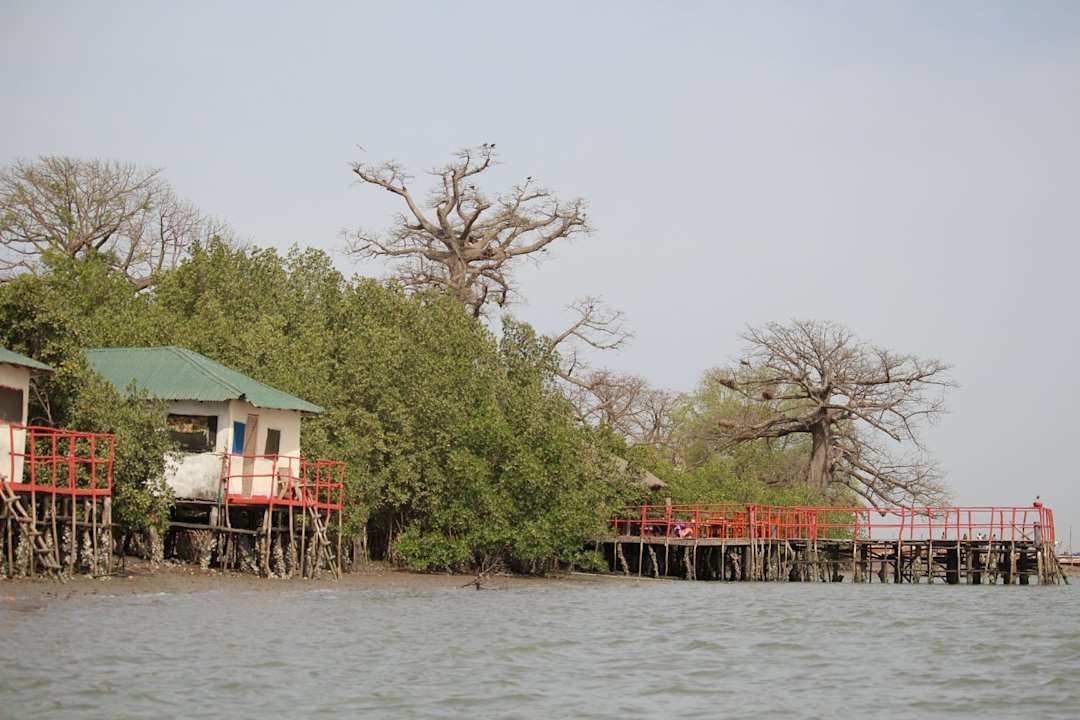 Zimmer Bintang Bolong Lodge