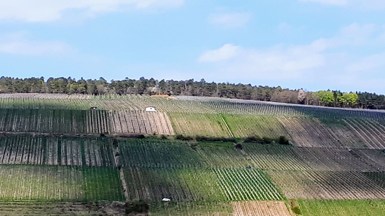 Ausblick Flair Hotel Weinstube Lochner