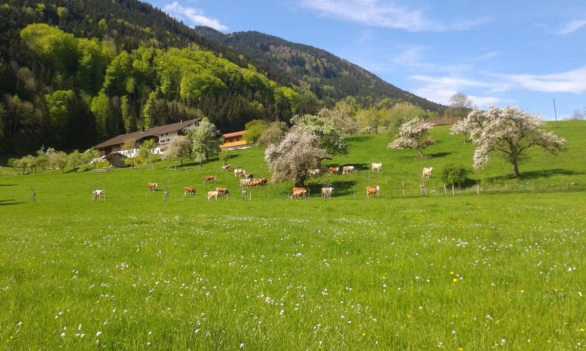 Unterulpointhof Unterulpointhof