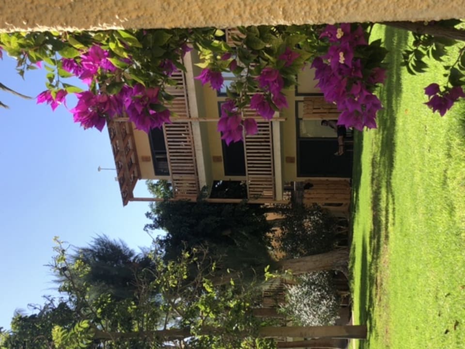 Außenansicht ROBINSON JANDIA PLAYA