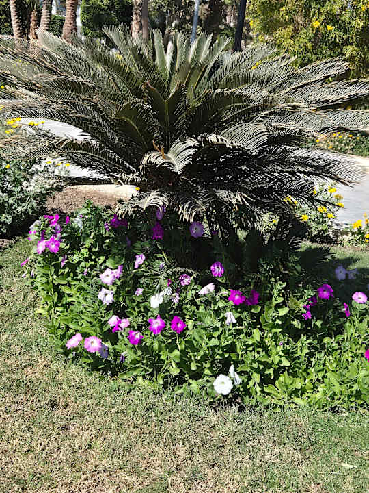 Gartenanlage The Grand Hotel Hurghada