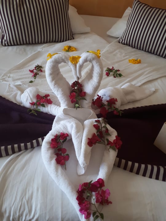 Zimmer Hotel JAZ Makadi Star & Spa