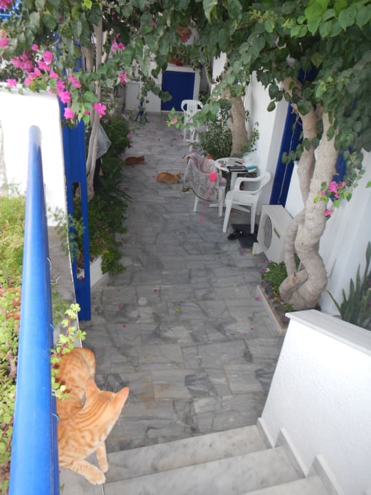 Außenansicht Hotel Proteas