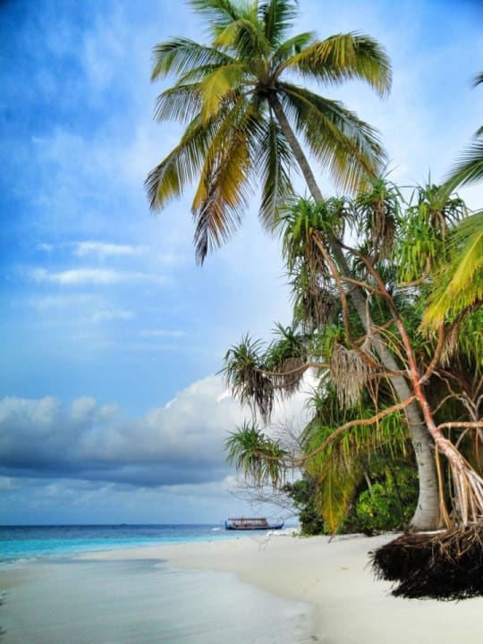 Beachlife Angaga Island Resort
