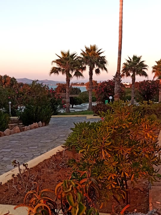 Gartenanlage Euro Village Achilleas Hotel