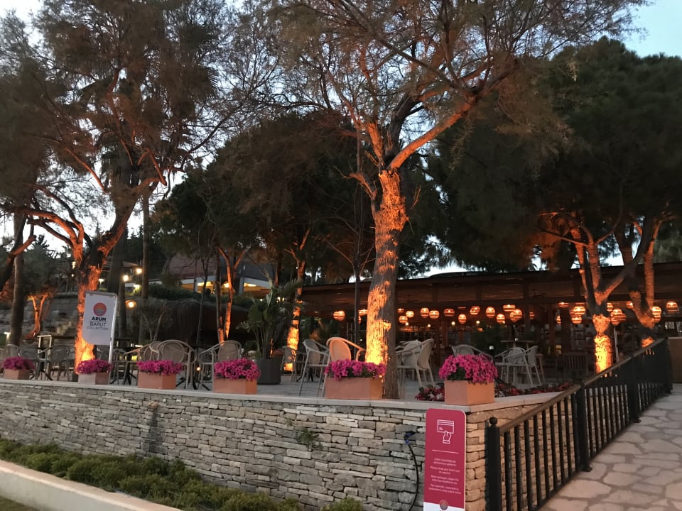 Gastro Arum Barut Collection