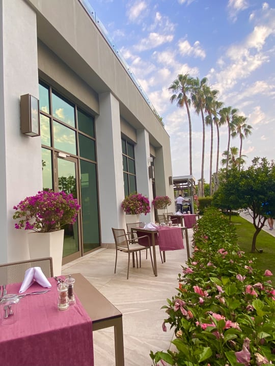 Gastro Acanthus Cennet Barut Collection