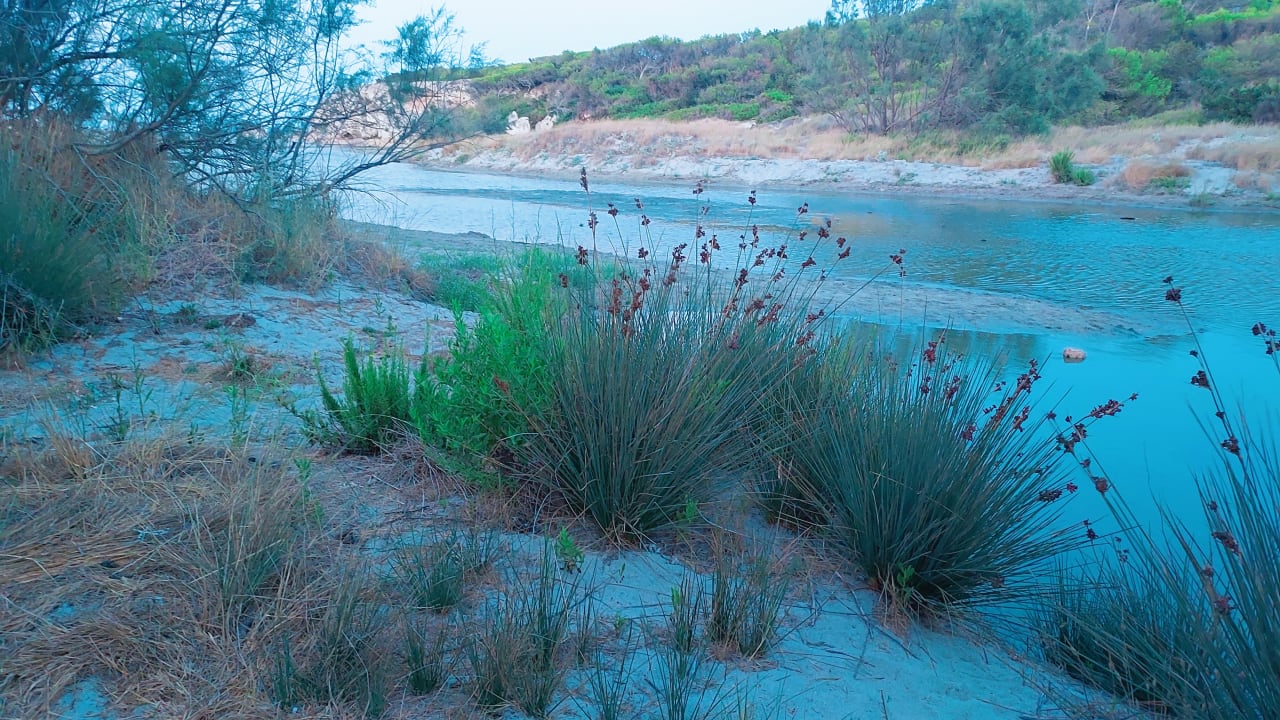 Sonstiges Caprice Janeiro Hotel & Spa