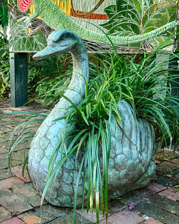 Gartenanlage Hotel The Gardens Key West