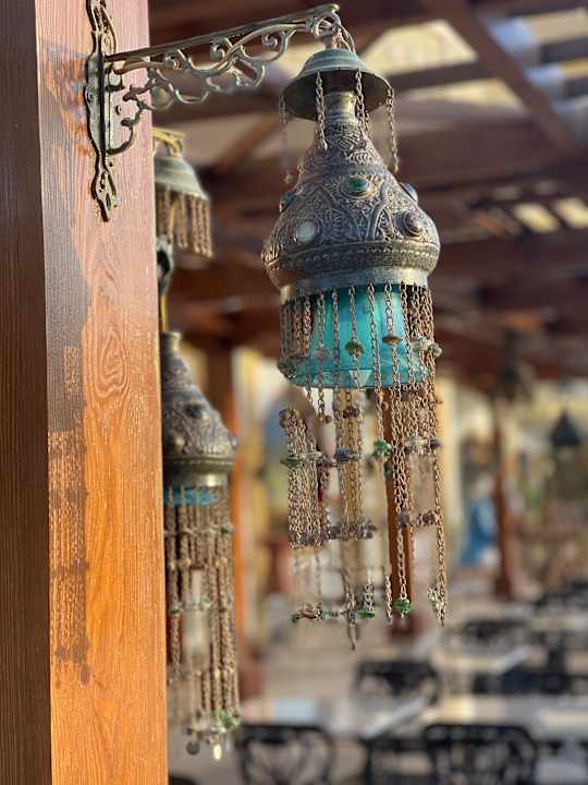 Gartenanlage Palm Royale Resort - Soma Bay