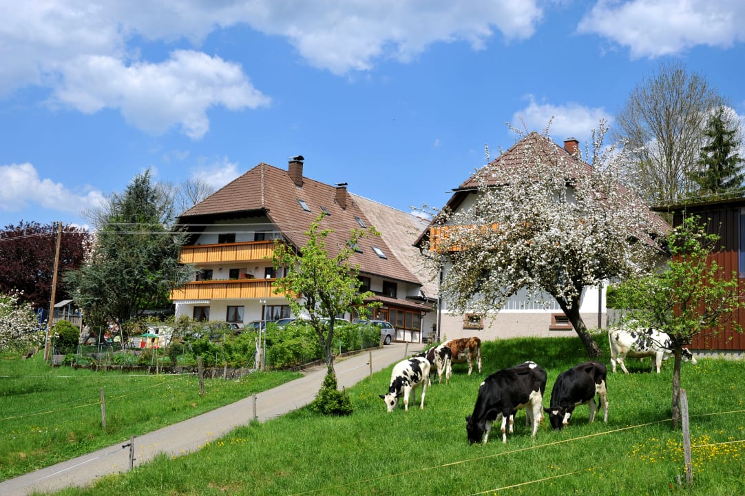 Außenansicht Fischerhof - Urlaub auf dem Bauernhof