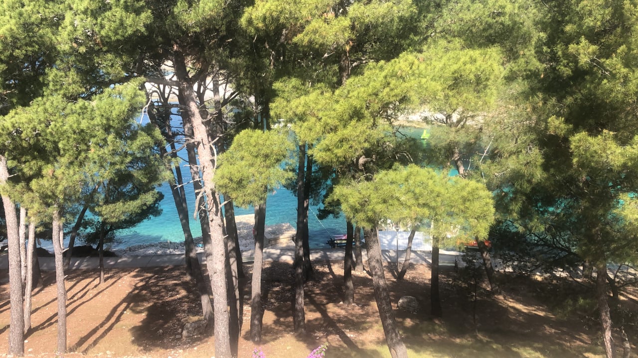 Gartenanlage Hotel Aurora