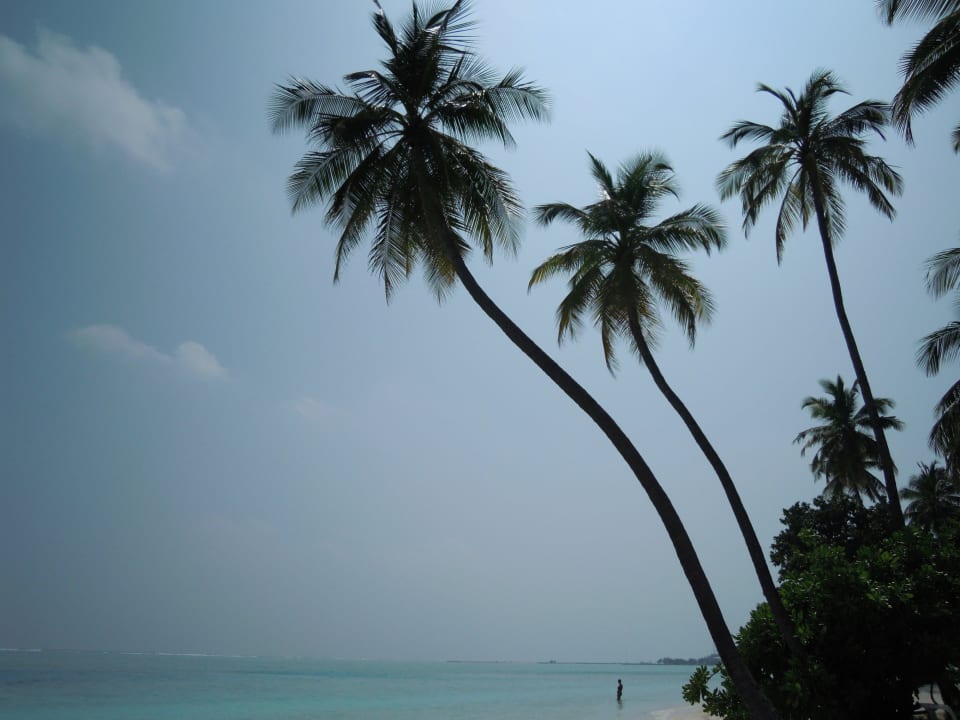 Der traumhafte Strand Meeru Maldives Resort Island