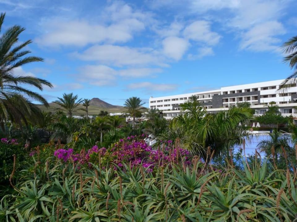 Hotelanlage Hotel Costa Calero