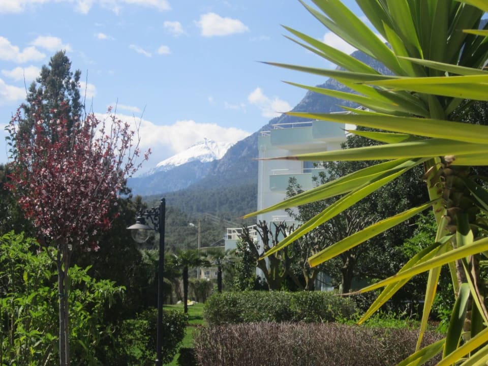 Man beachte den Schnee am Olympos Ma Biche Kemer by Werde Hotels