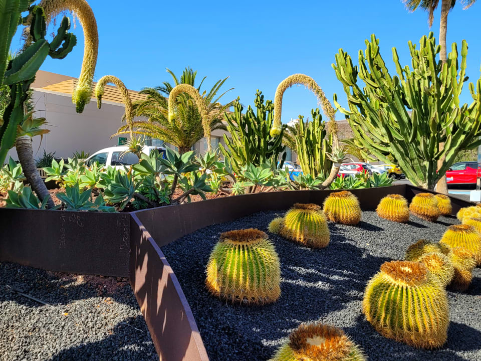 Gartenanlage Iberostar Selection Fuerteventura Palace
