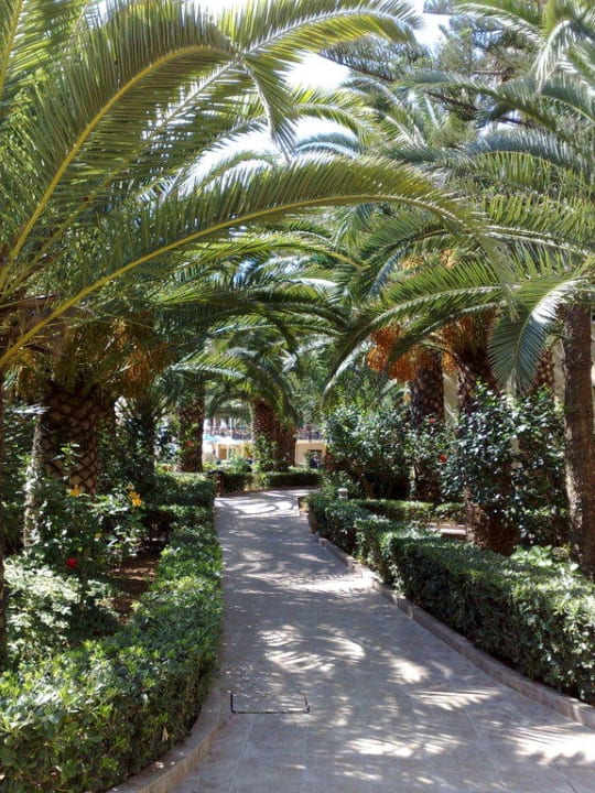 Weg in der Hotelanlage Vantaris Luxury Beach Resort