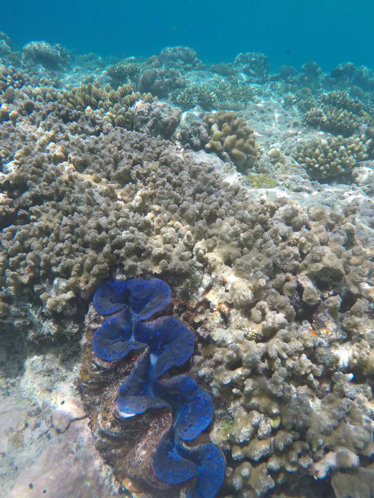 Sport & Freizeit Kuramathi Maldives