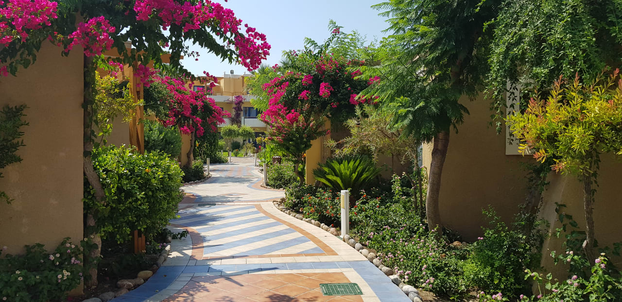 Gartenanlage Atrium Palace Thalasso Spa Resort & Villas
