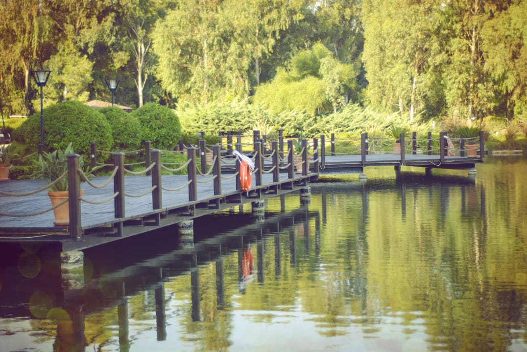 Вокруг отеля Sueno Hotels Golf Belek