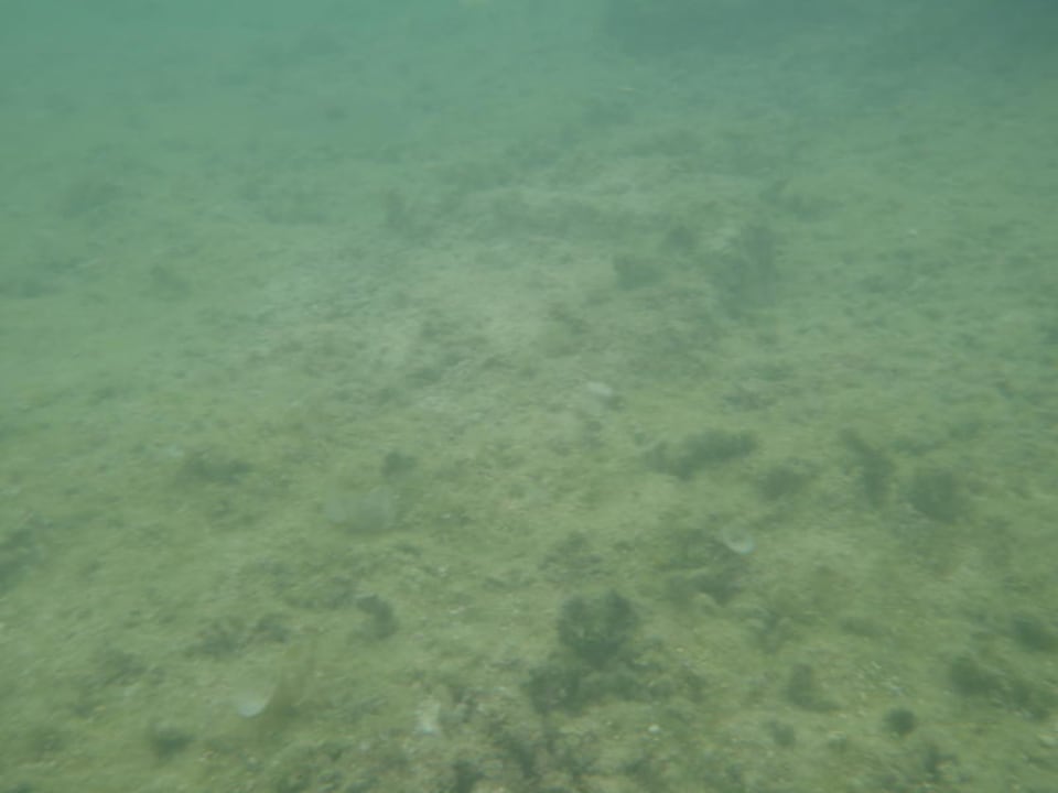 Unterwasserwelt Victoria Beachcomber Resort & Spa