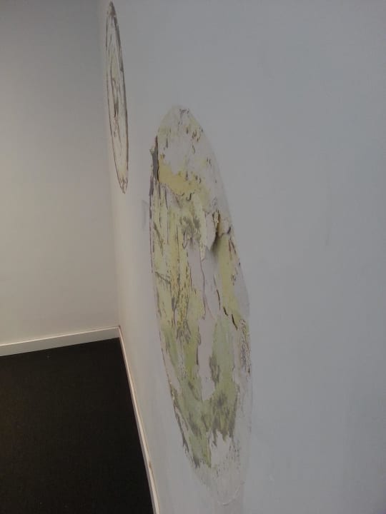 Ich denke Schimmel whala!beach