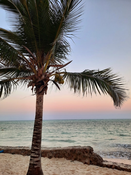 Strand Neptune Pwani Beach Resort & Spa