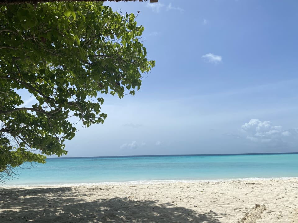 Strand Summer Island Maldives