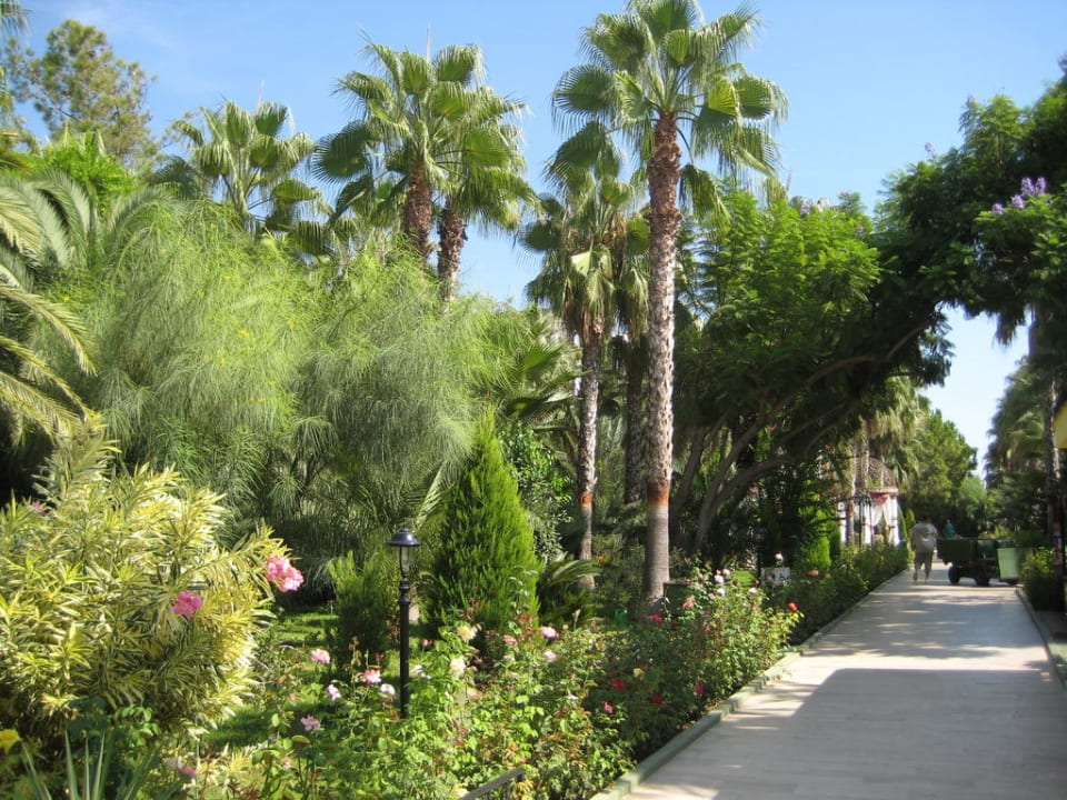 Garten des Delphin Botanik Botanik Hotel & Resort