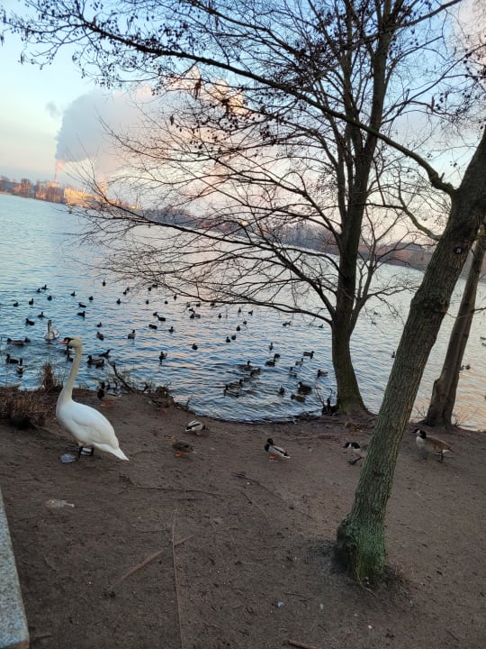 Ausblick centrovital Hotel Berlin