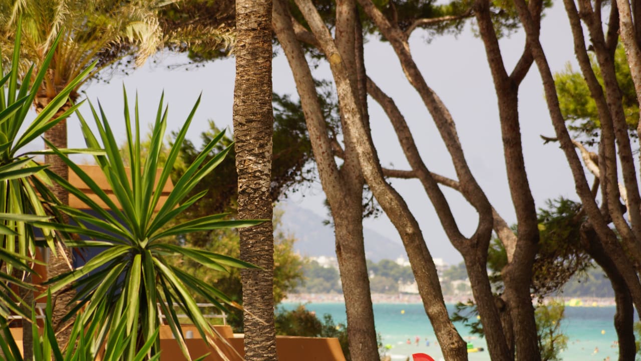 Überall schimmert das Meer Iberostar Waves Playa de Muro