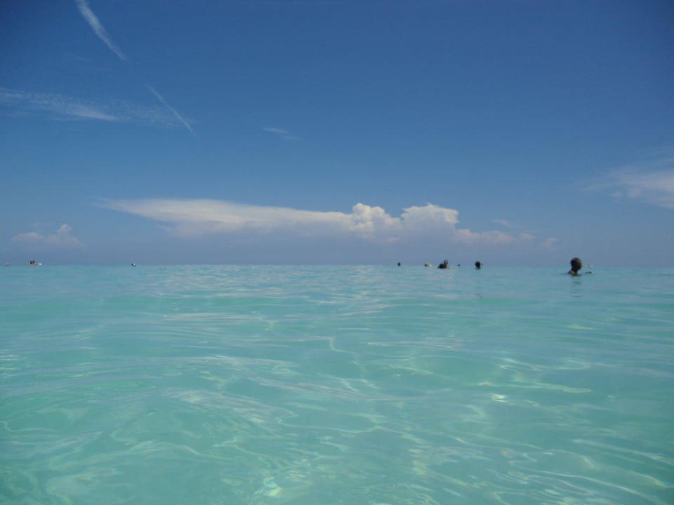 Einfach nur genial Melia Las Antillas - Adults only