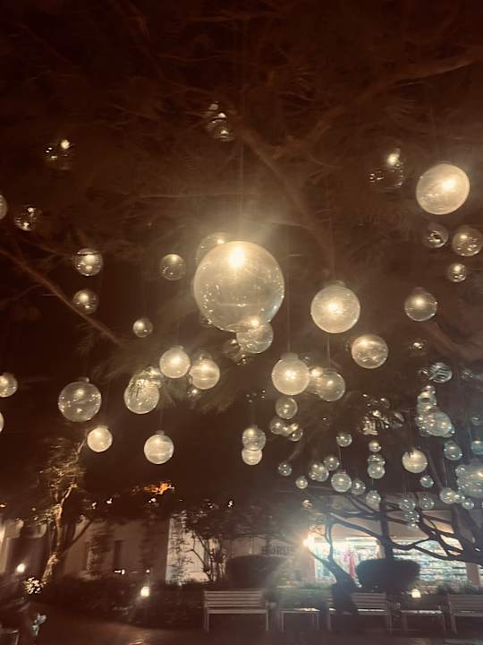 Sonstiges Desert Rose