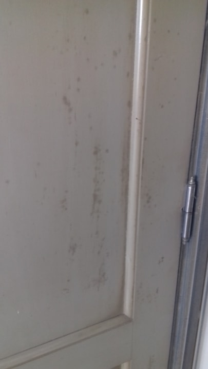 Zimmer allsun App.-Hotel Albatros