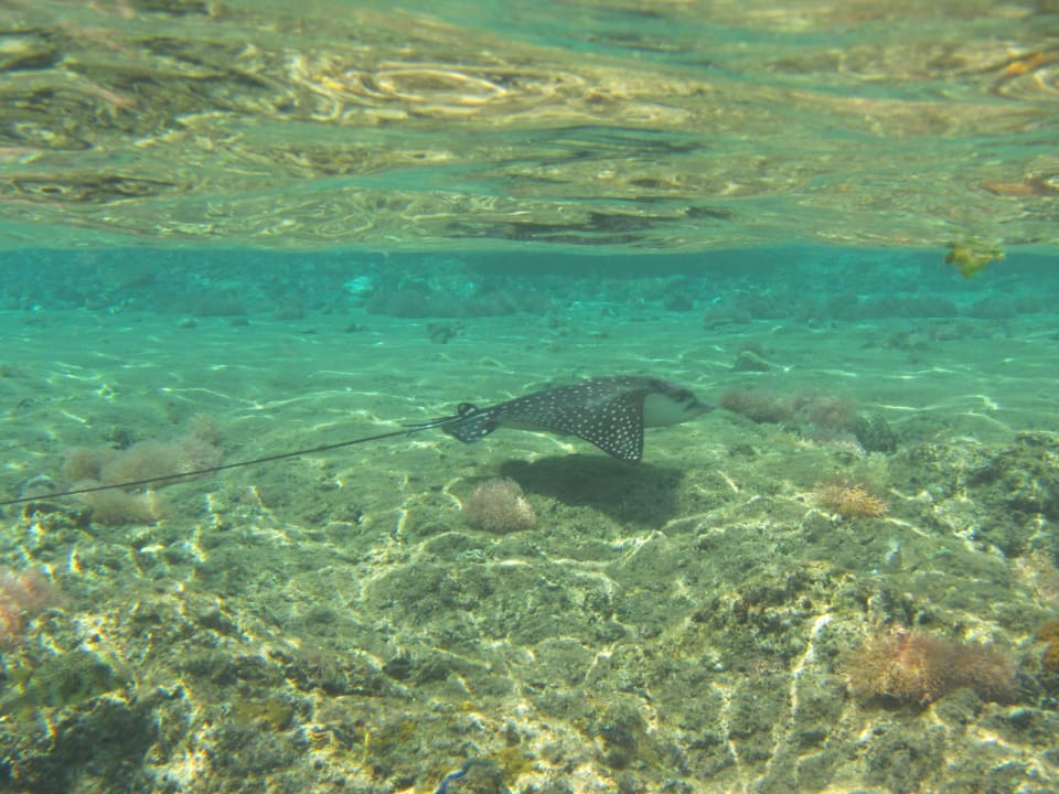 Sport & Freizeit Lido Sharm Hotel